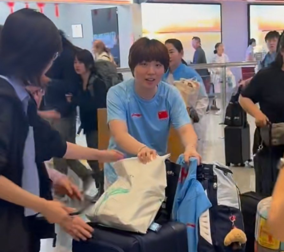 给你一个快乐之旅。图片展示